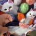 Дитяча футболка з бавовни ""Котики з нитками" Дитяча футболка з бавовни ""Котики з нитками"